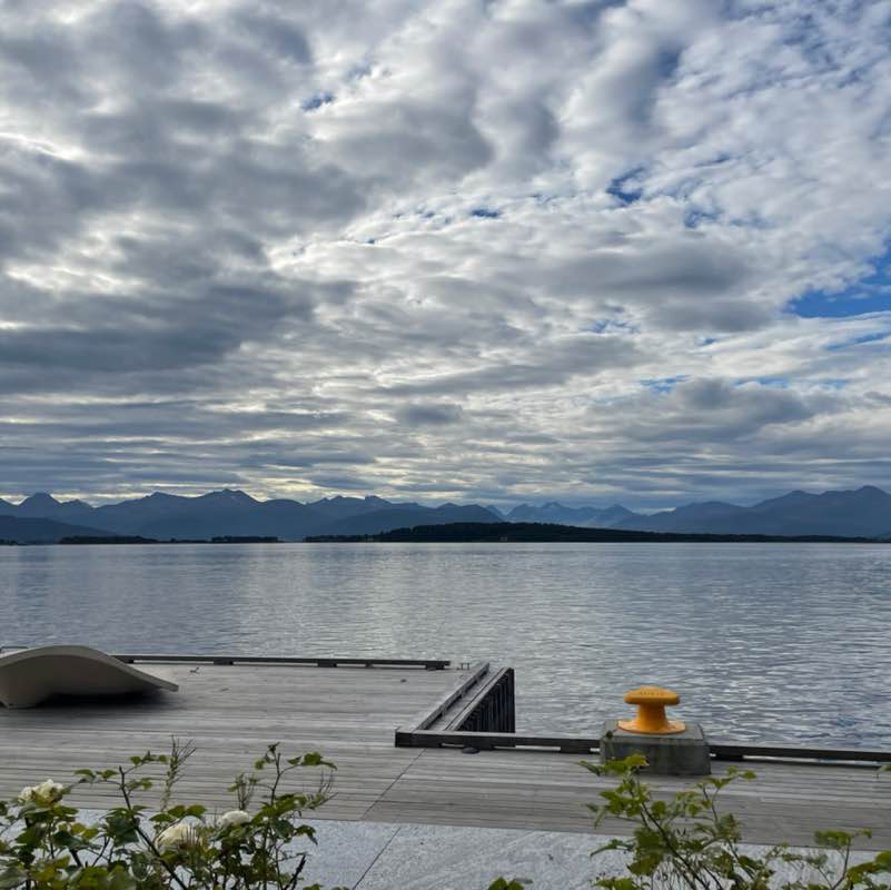 Die Hochleistungs-Gassigeher 😎 Roswitha post image