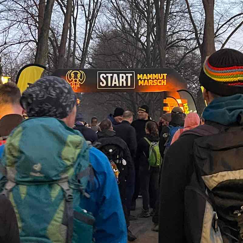 Die Hochleistungs-Gassigeher 😎 Roswitha post image