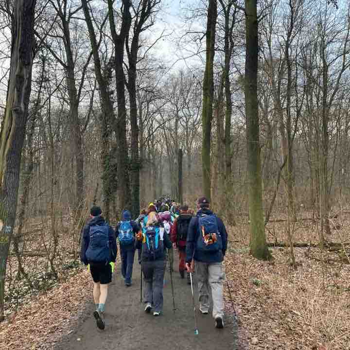 Die Hochleistungs-Gassigeher 😎 Roswitha post image