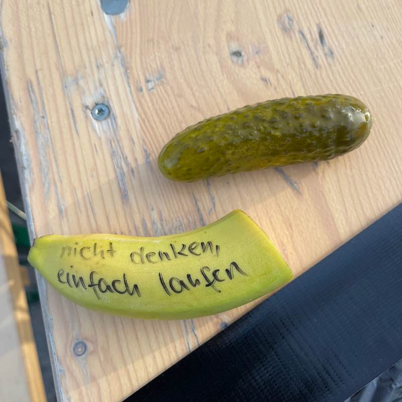 Die Hochleistungs-Gassigeher 😎 Roswitha post image