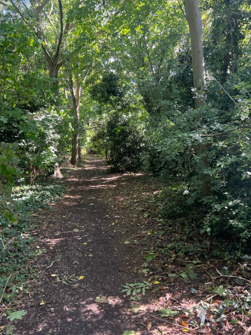walking near me in Orton Meadows in autumn