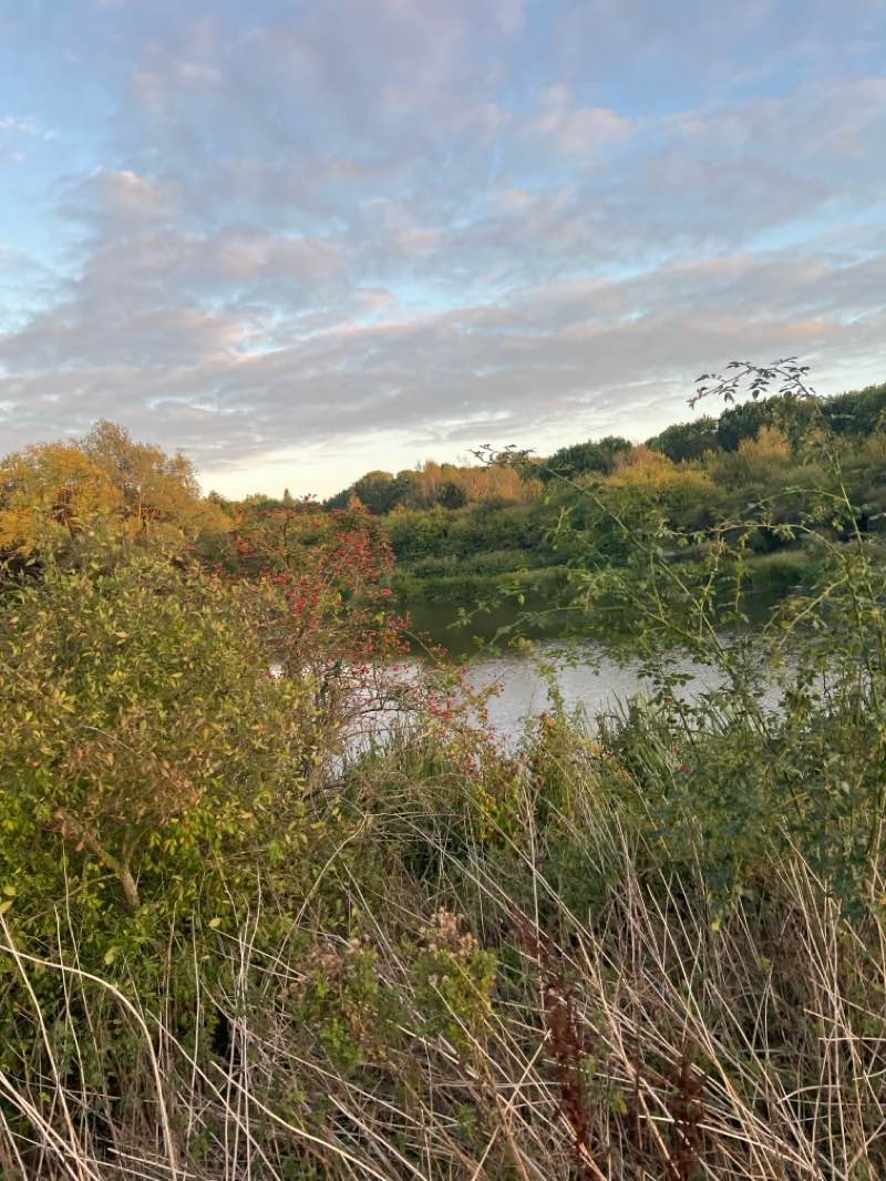 walking near me in Thorpe Meadows in autumn