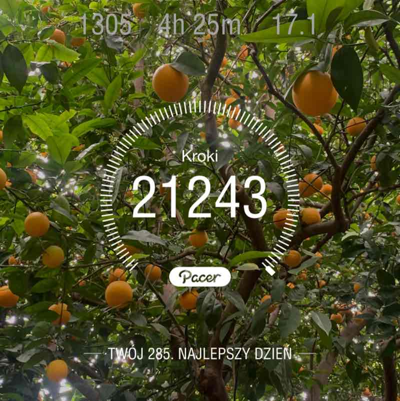 Piotrek 🏳️‍🌈 post 1