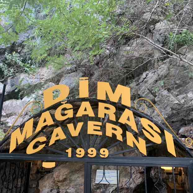 Piotrek 🏳️‍🌈 post 2