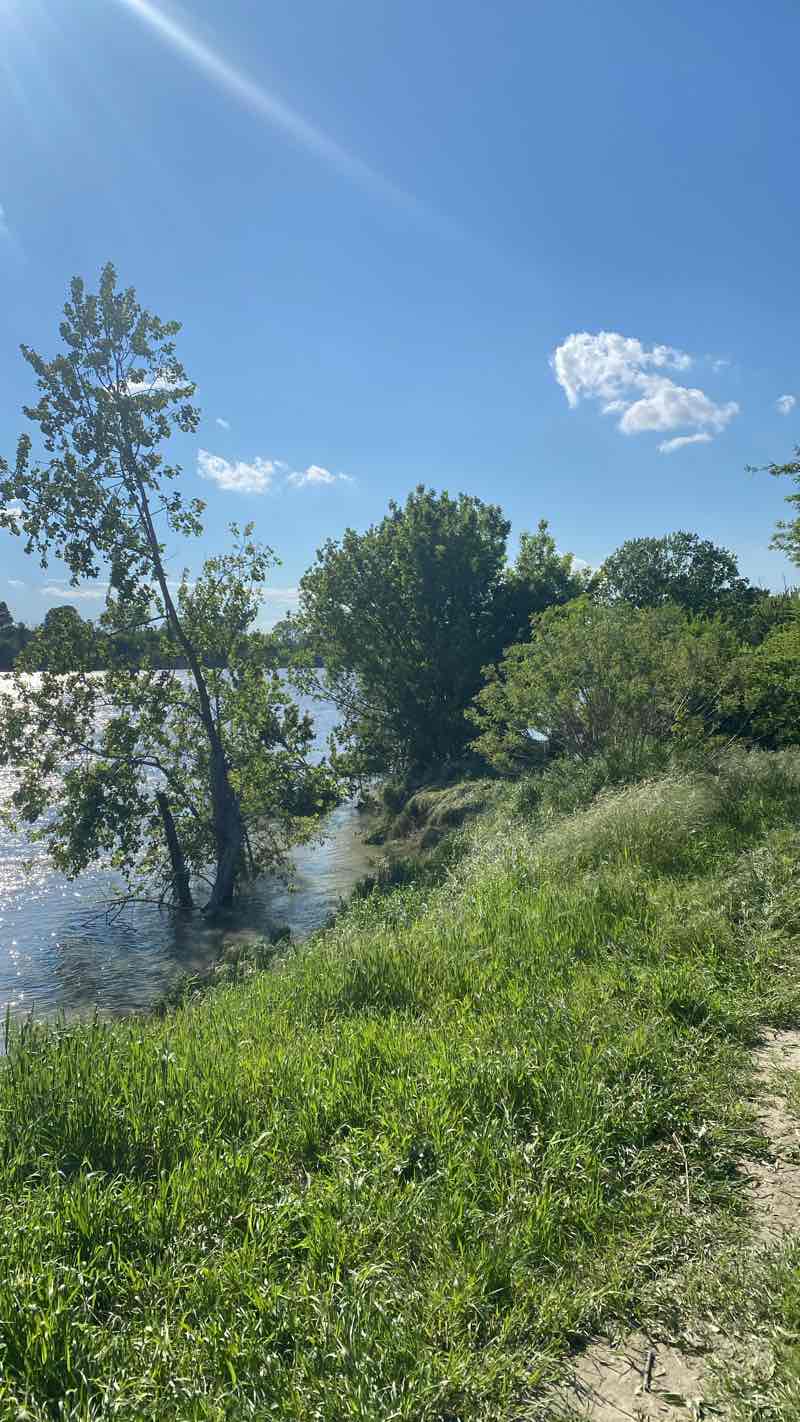 walking near me in Parco al Po Colonie Padane in spring