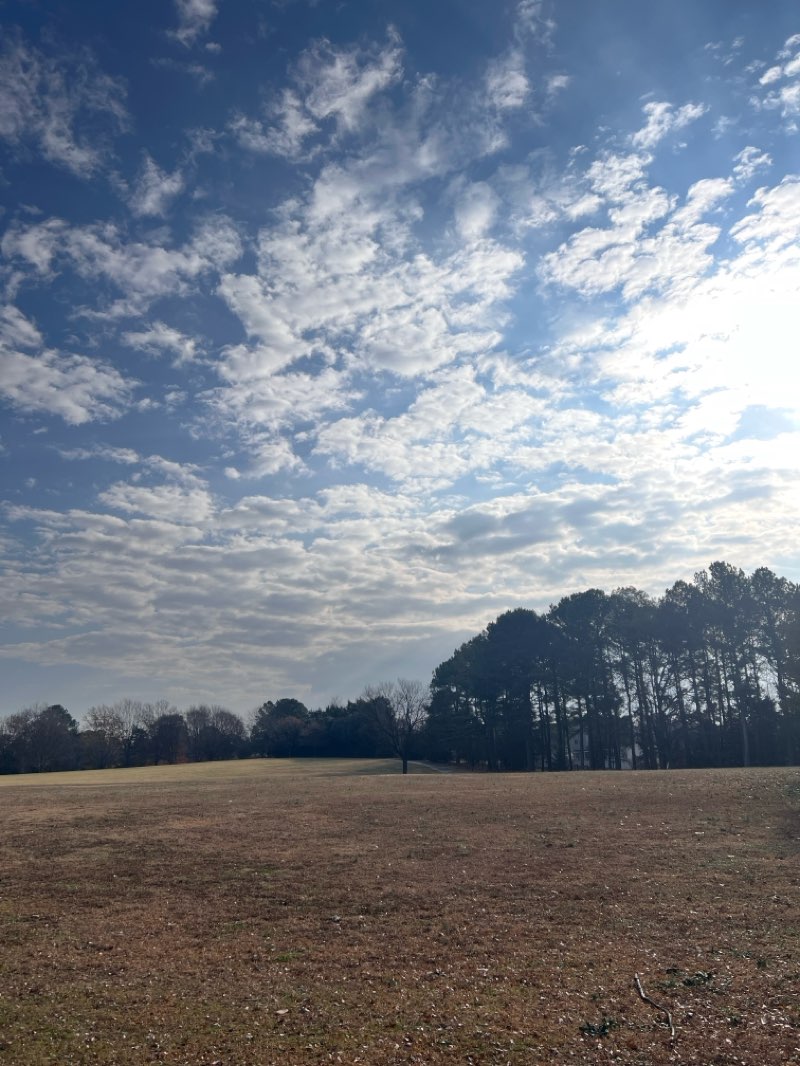 walking near me in Spring Forest Road Park in winter