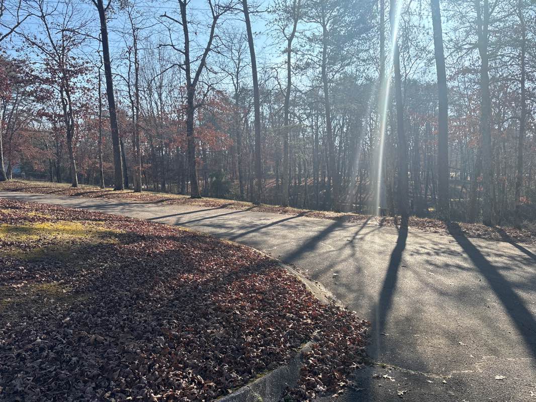 walking near me in Obed River Park in winter