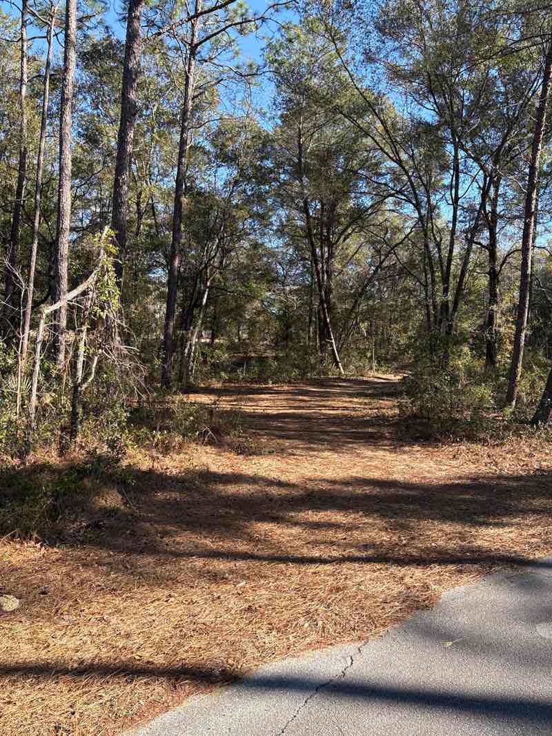 walking near me in Coehadjoe Park in winter