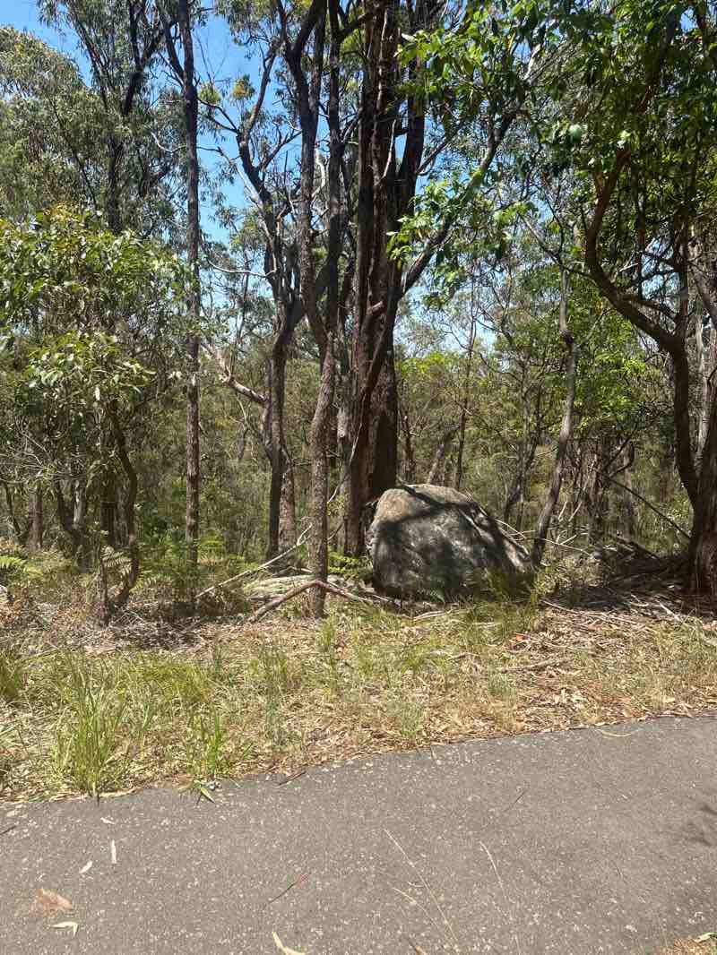 walking near me in Springwood Conservation Park in summer