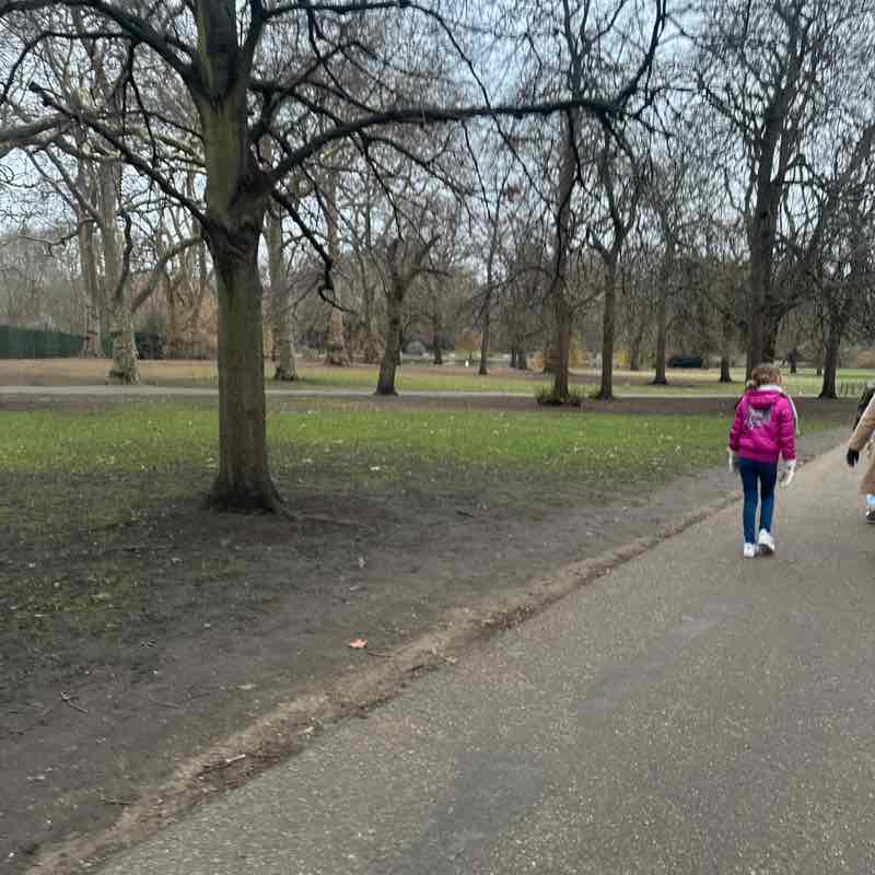 brisbane blue post 3