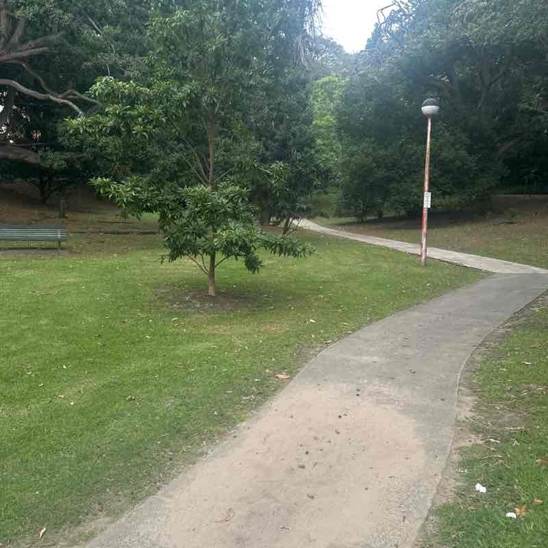 brisbane blue post 3