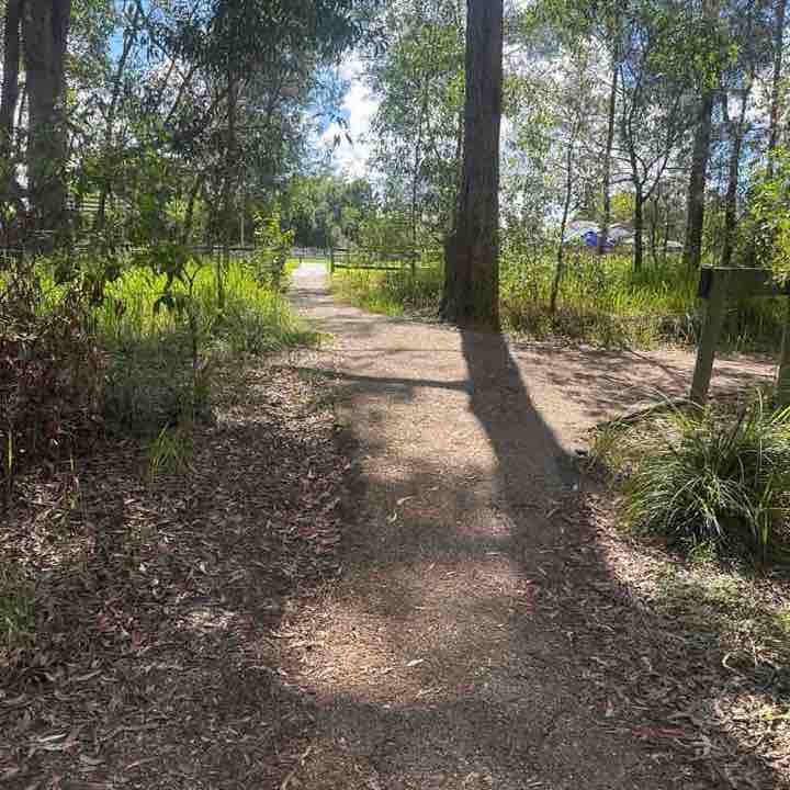 brisbane blue post 2