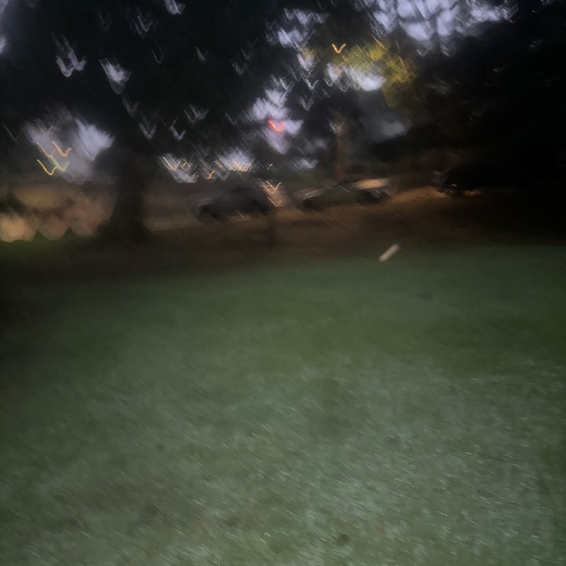 brisbane blue post 2