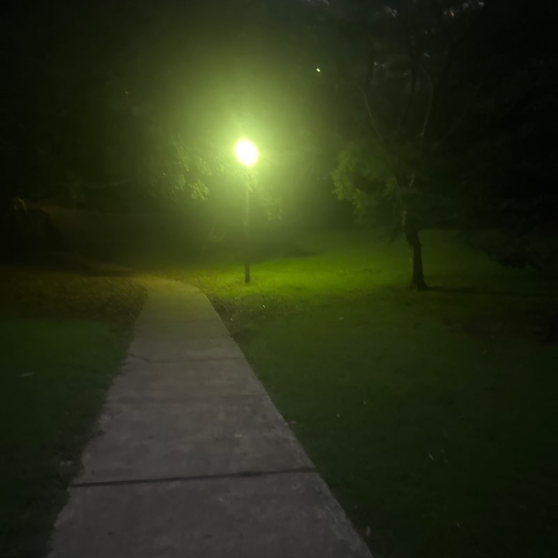 brisbane blue post 1