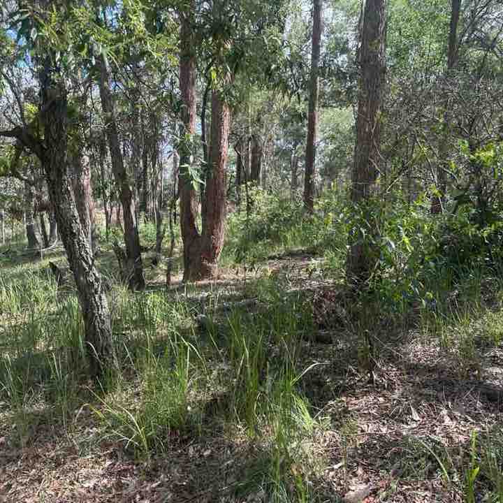 brisbane blue post 3