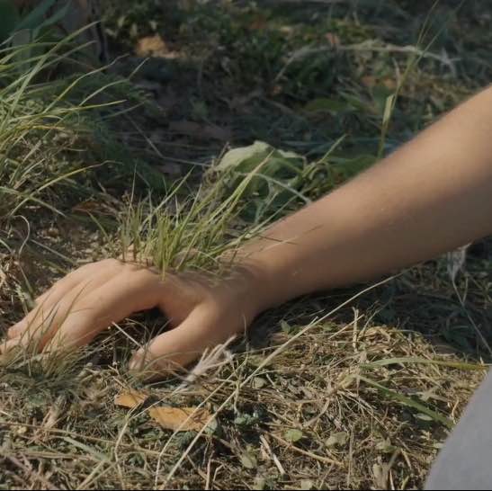 Steps n’ Cinema Marissa post image