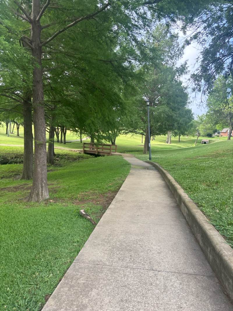 walking near me in Palos Verde Lake Park in summer