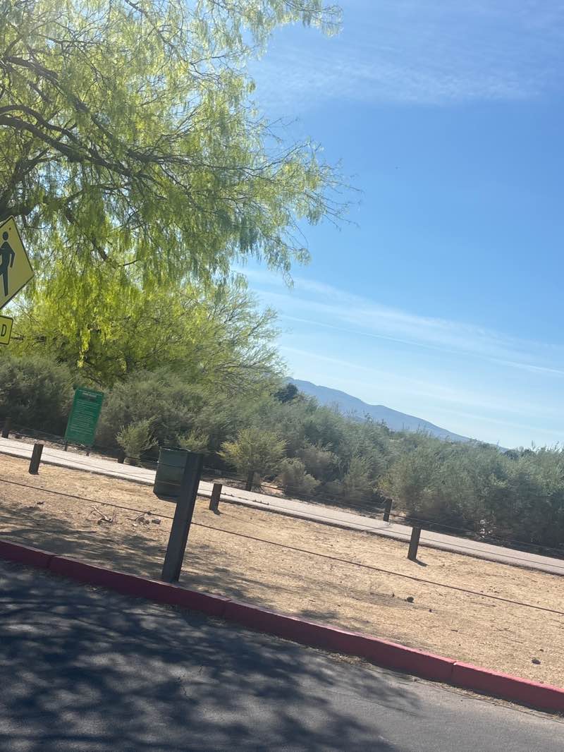 walking near me in Sunset Park in spring