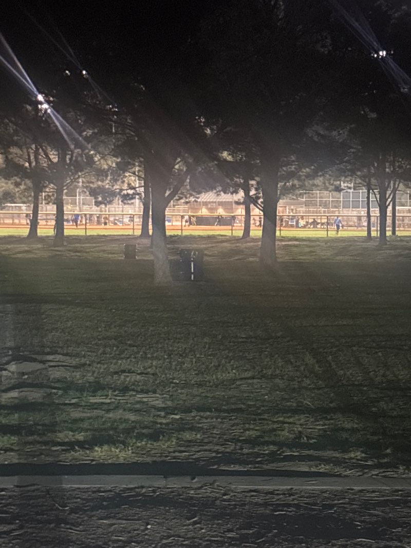 walking near me in Sunset Park in spring