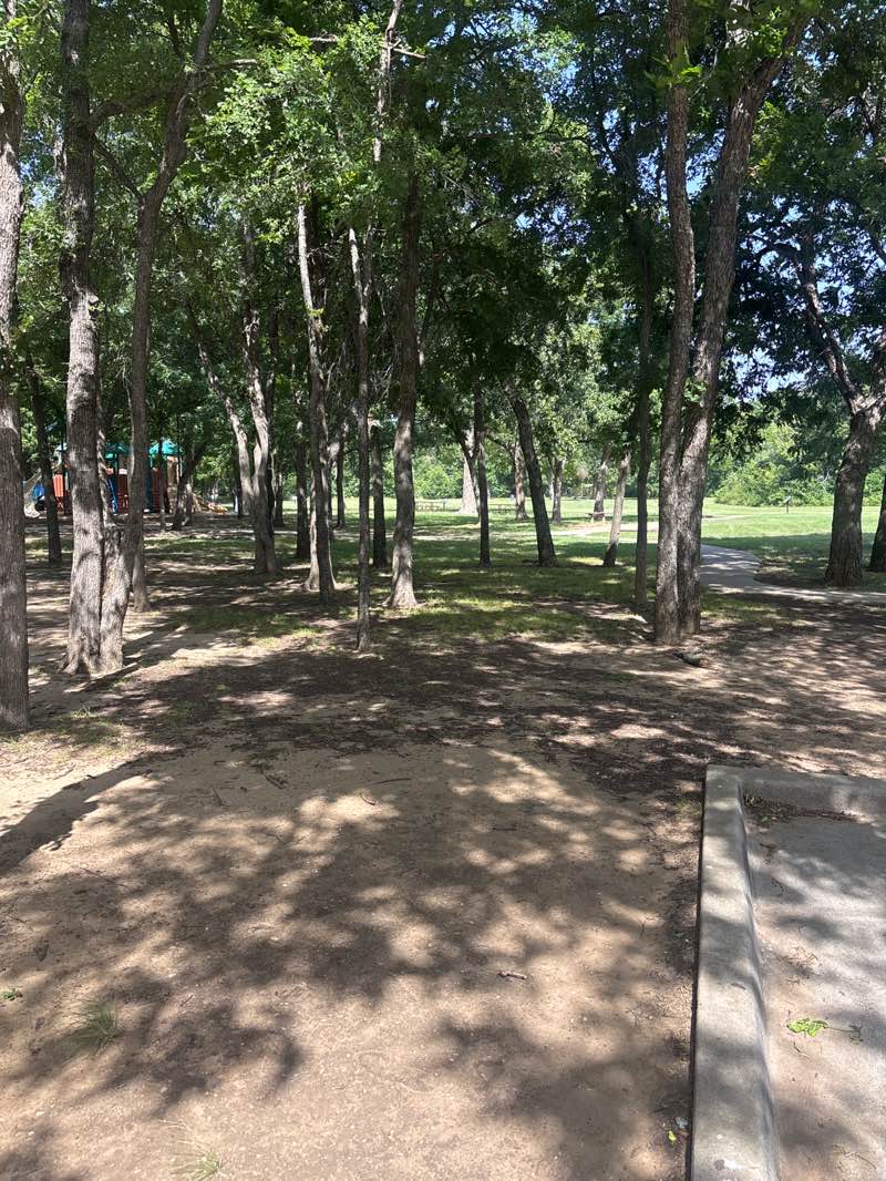 walking near me in Central Park in summer