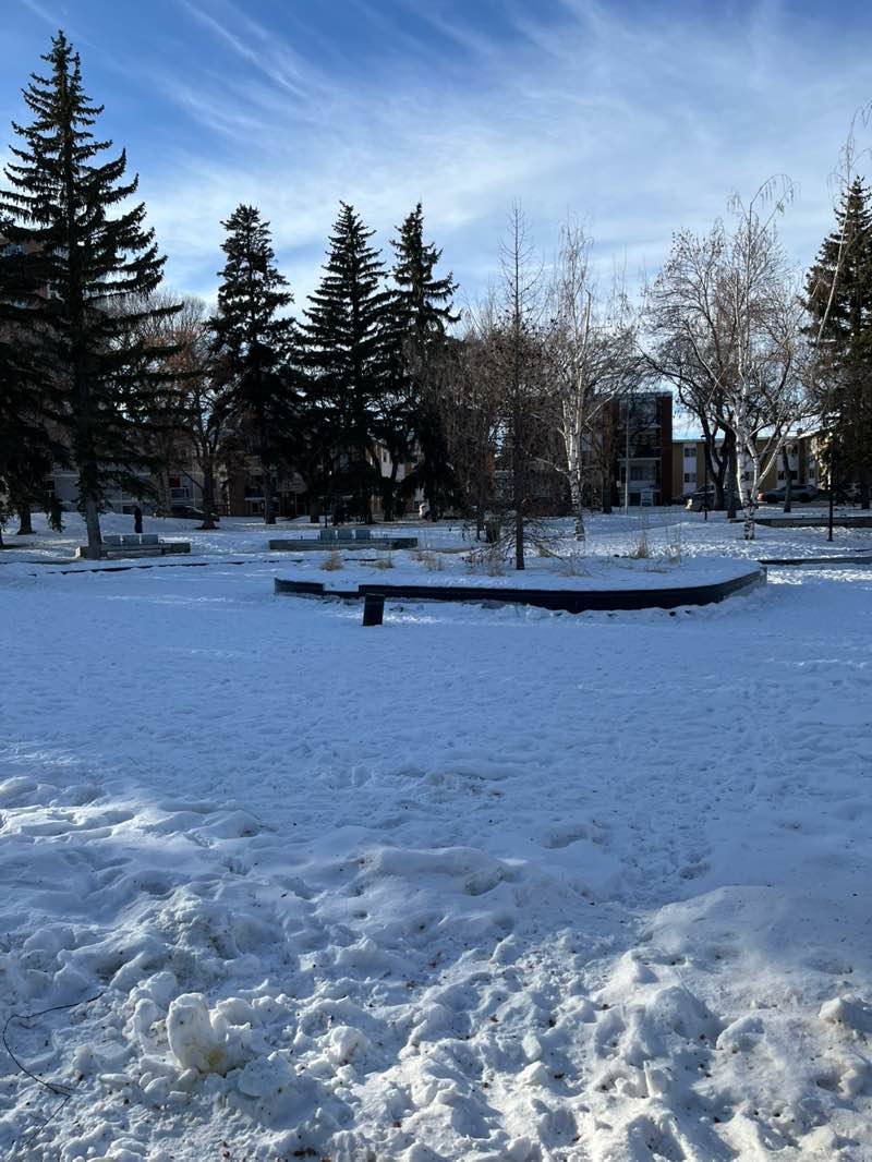 walking near me in Paul Kane Park in winter