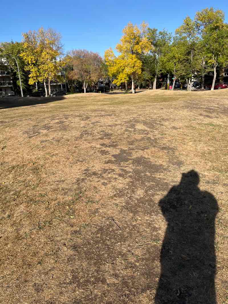 walking near me in Kitchener Park in autumn