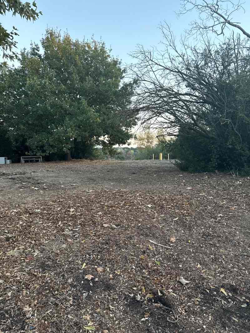 walking near me in Niles Community Park in autumn
