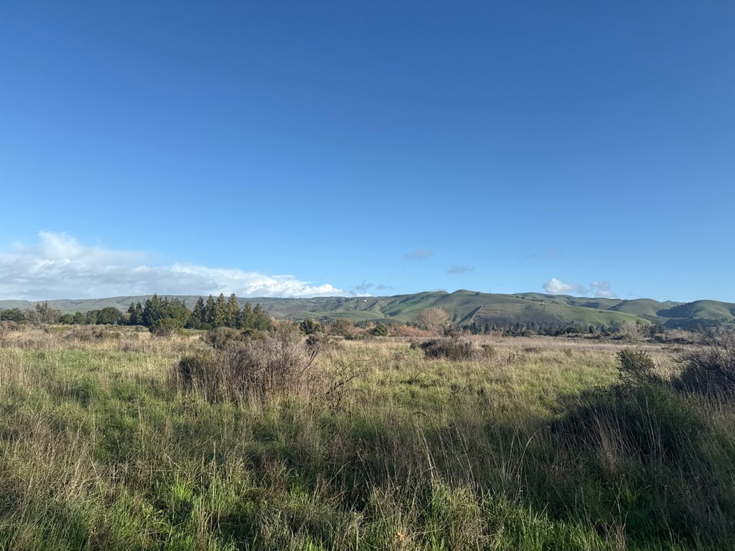walking near me in Quarry Lakes Regional Park in winter