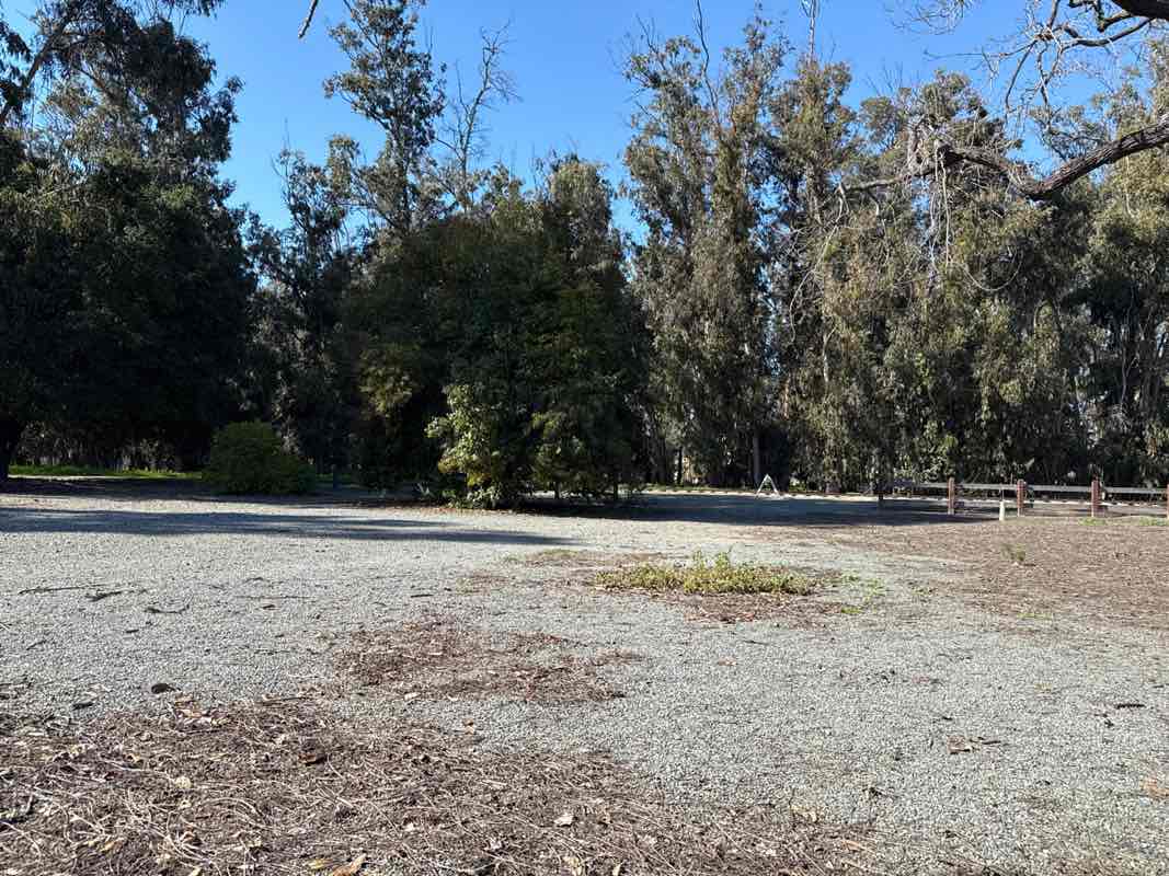 walking near me in Ardenwood Farm Park in spring