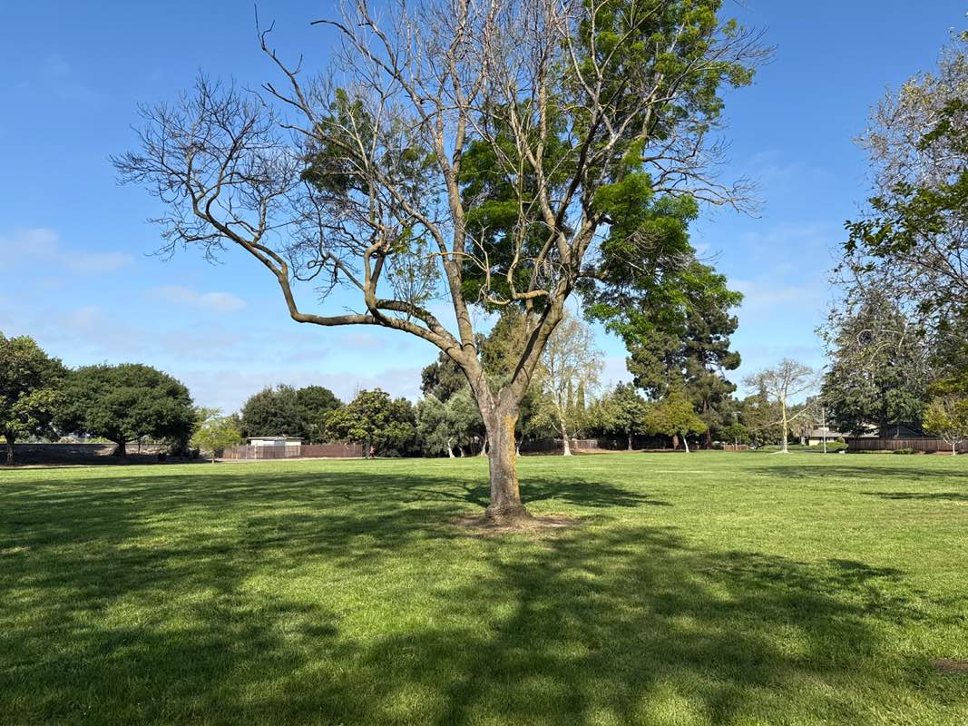 walking near me in Rancho Arroyo Park in spring
