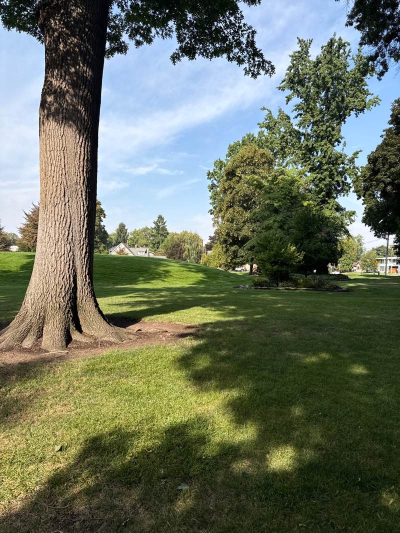 walking near me in Pioneer Park in autumn