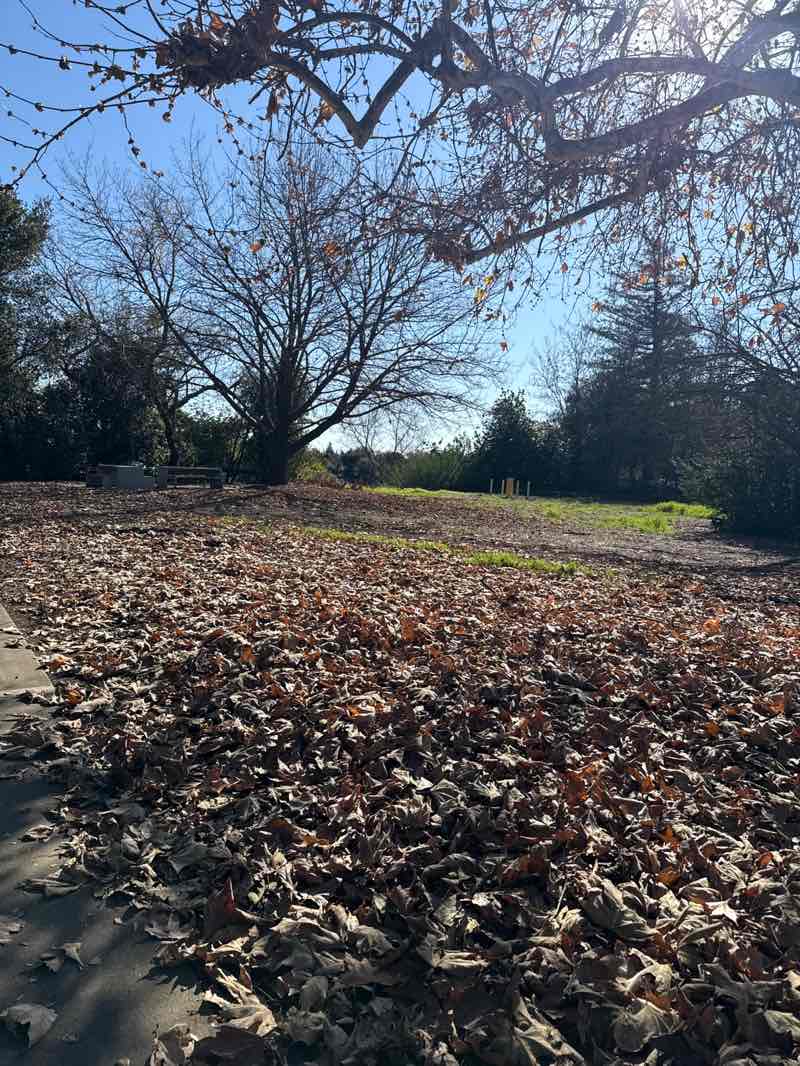 walking near me in Niles Community Park in winter