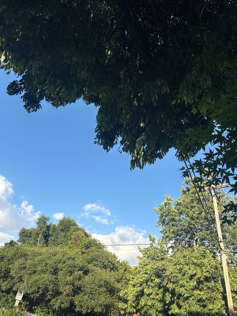 walking near me in Niles Community Park in spring