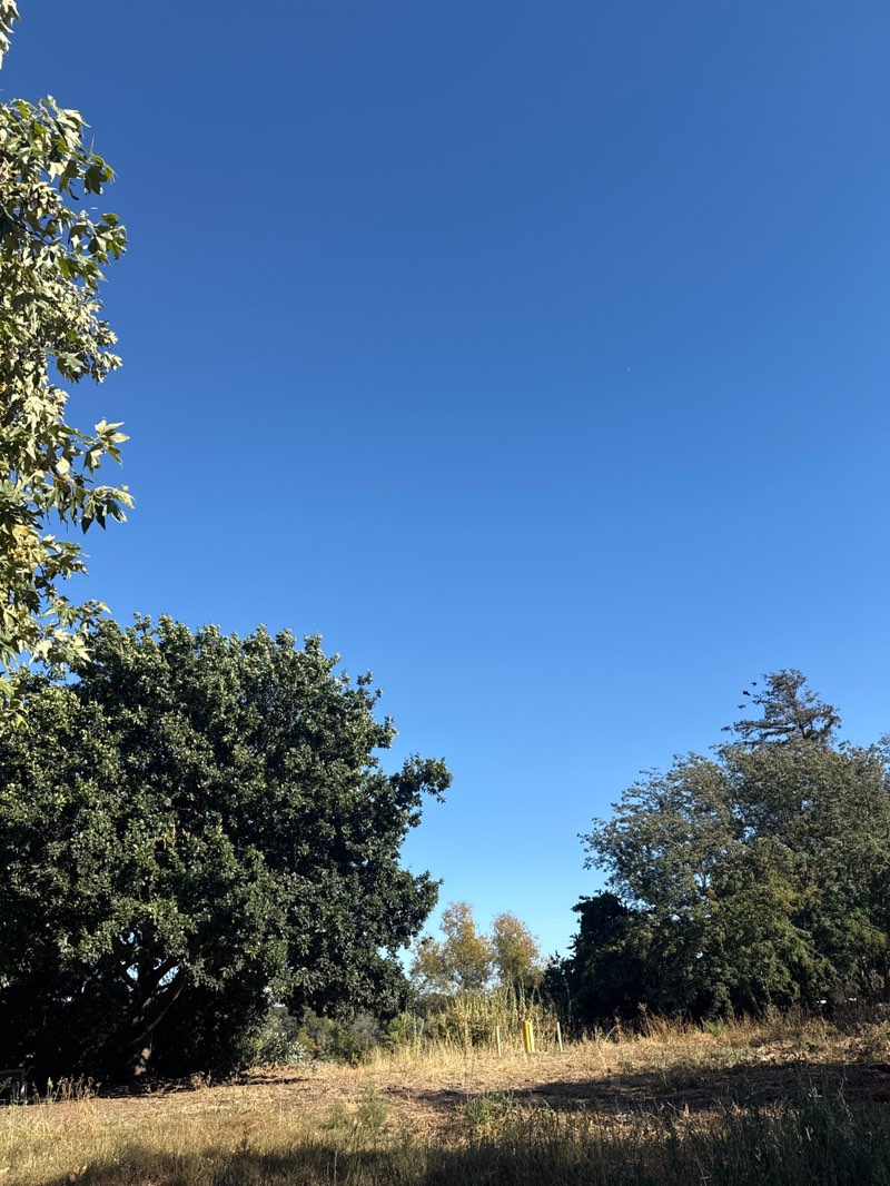 walking near me in Niles Community Park in summer