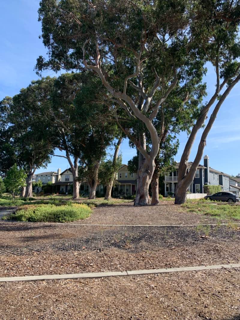 walking near me in River Park in summer