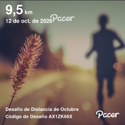 November Distance Challenge Vicente El BIERZO post image