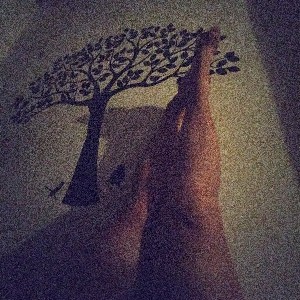 Florencia 🌸🇦🇷🩵 profile