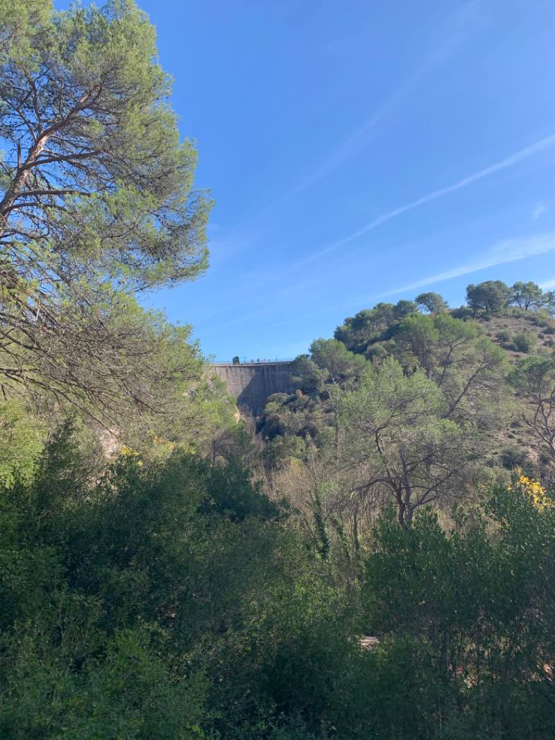 walking near me in Parc Rambot in winter