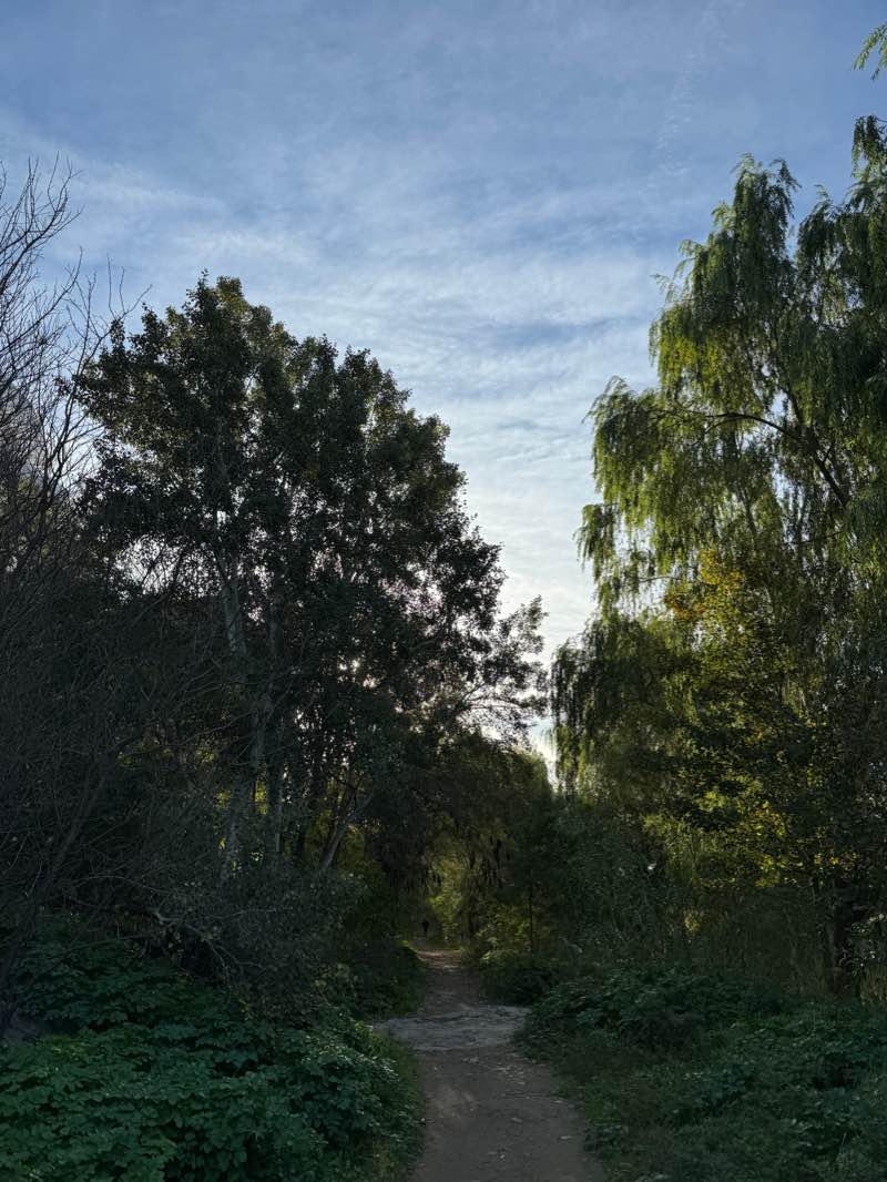 walking near me in La Peupleraie in winter