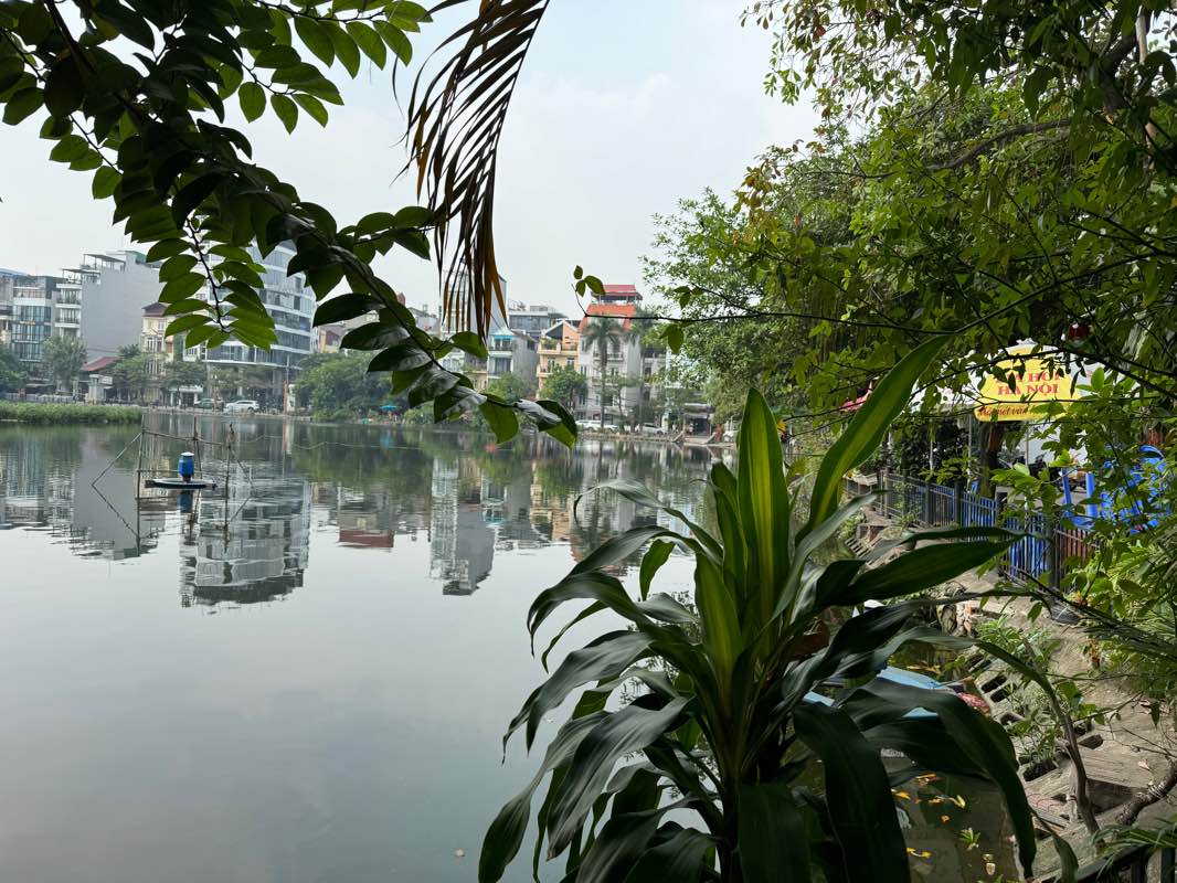 walking near me in Vườn hoa Trần Quang Diệu in winter