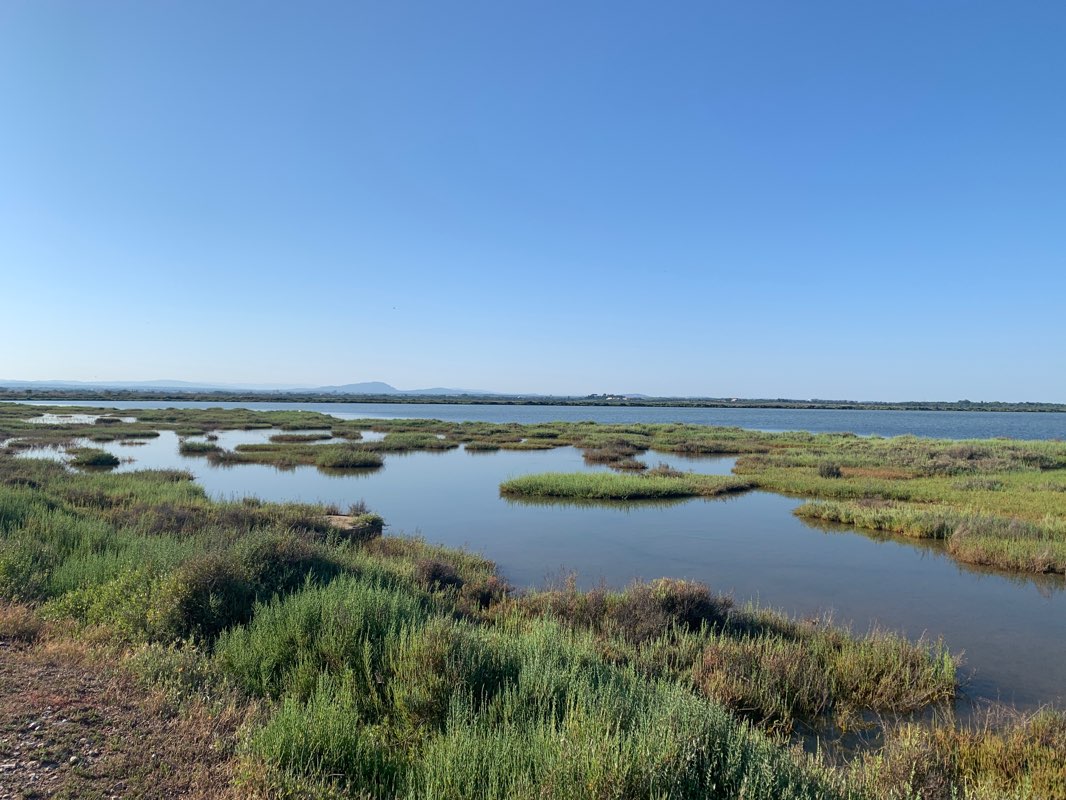 walking near me in Parc Richter in winter