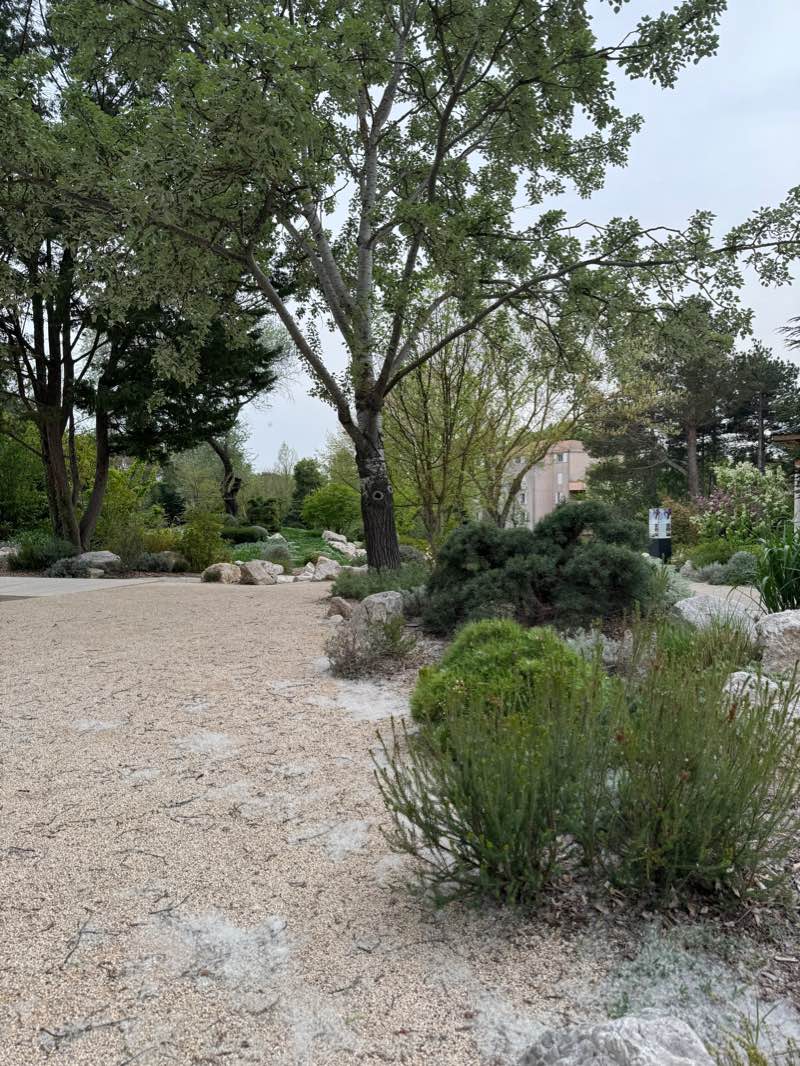 walking near me in Parc Vendome in winter