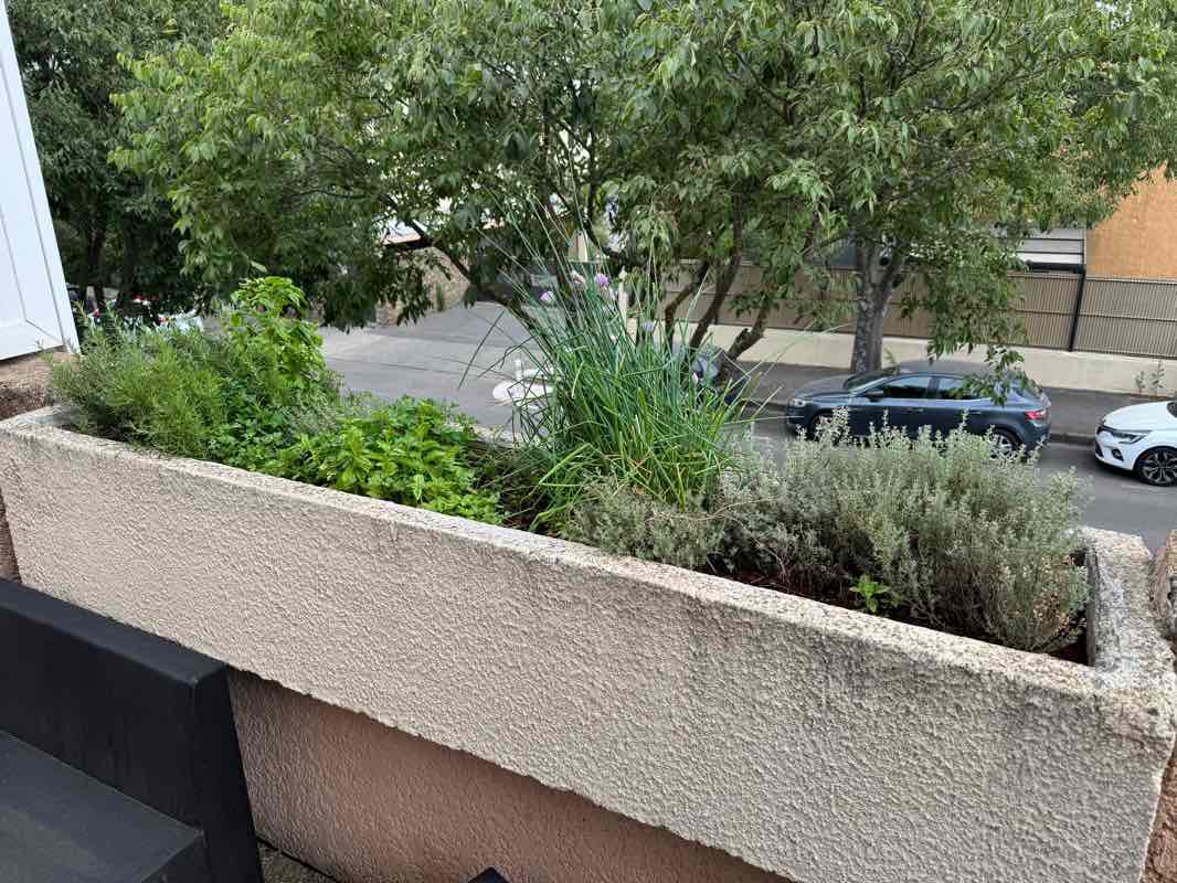 walking near me in Bois de la Cortésine in winter