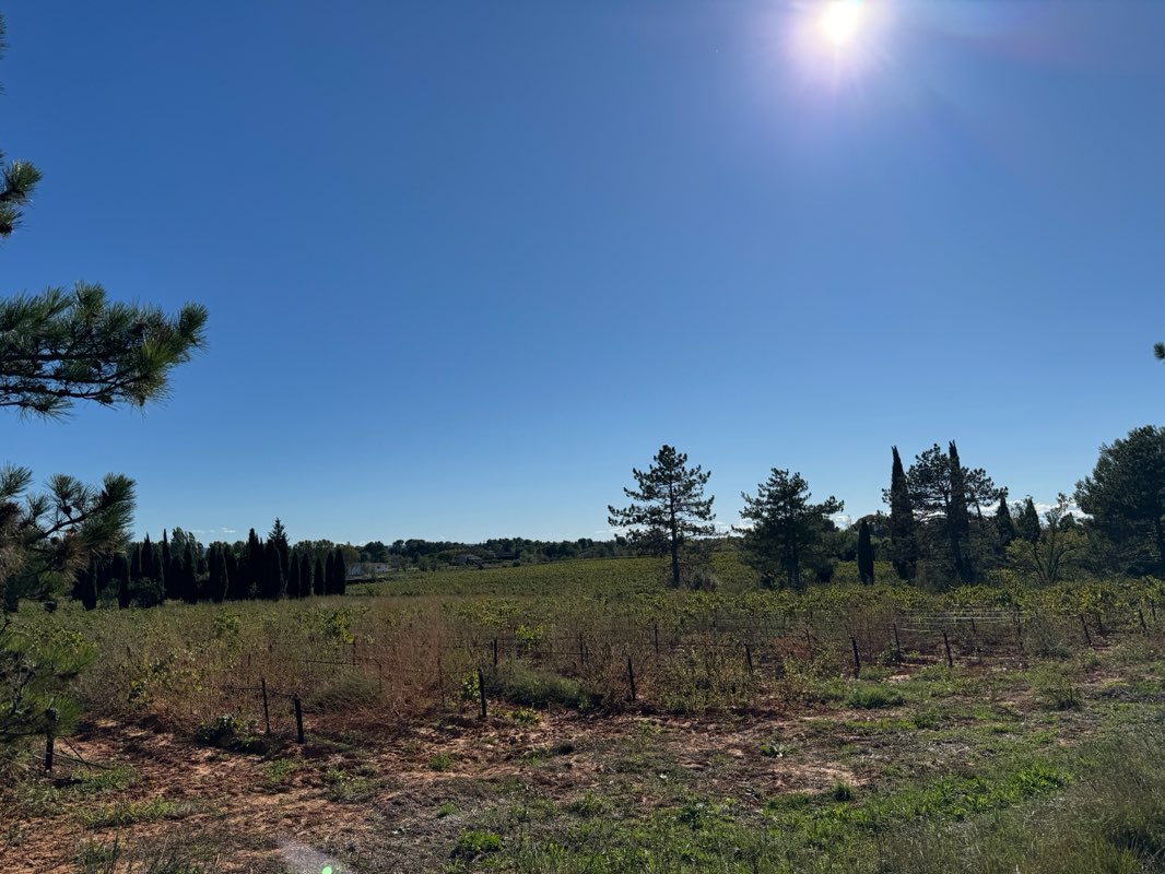 walking near me in Parc Gilbert Vilers in winter