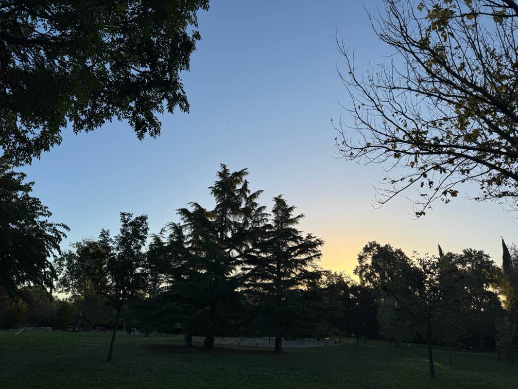 walking near me in Parc Saint-Mitre in autumn