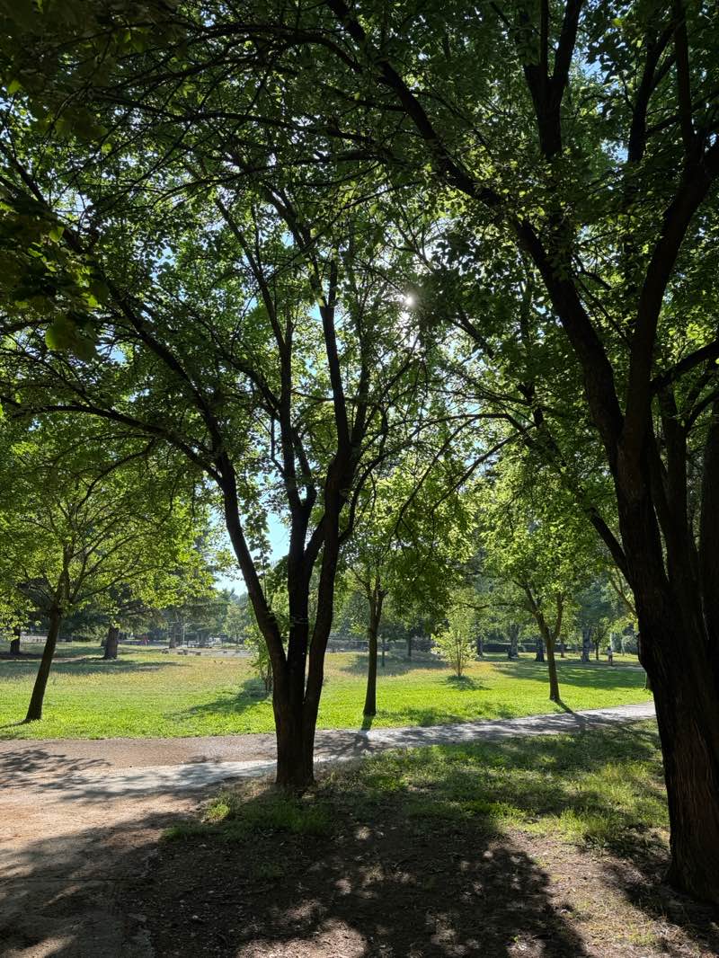 walking near me in Parc Saint-Mitre in summer