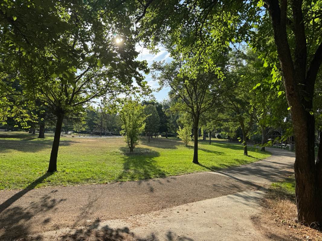 walking near me in Parc Saint-Mitre in summer