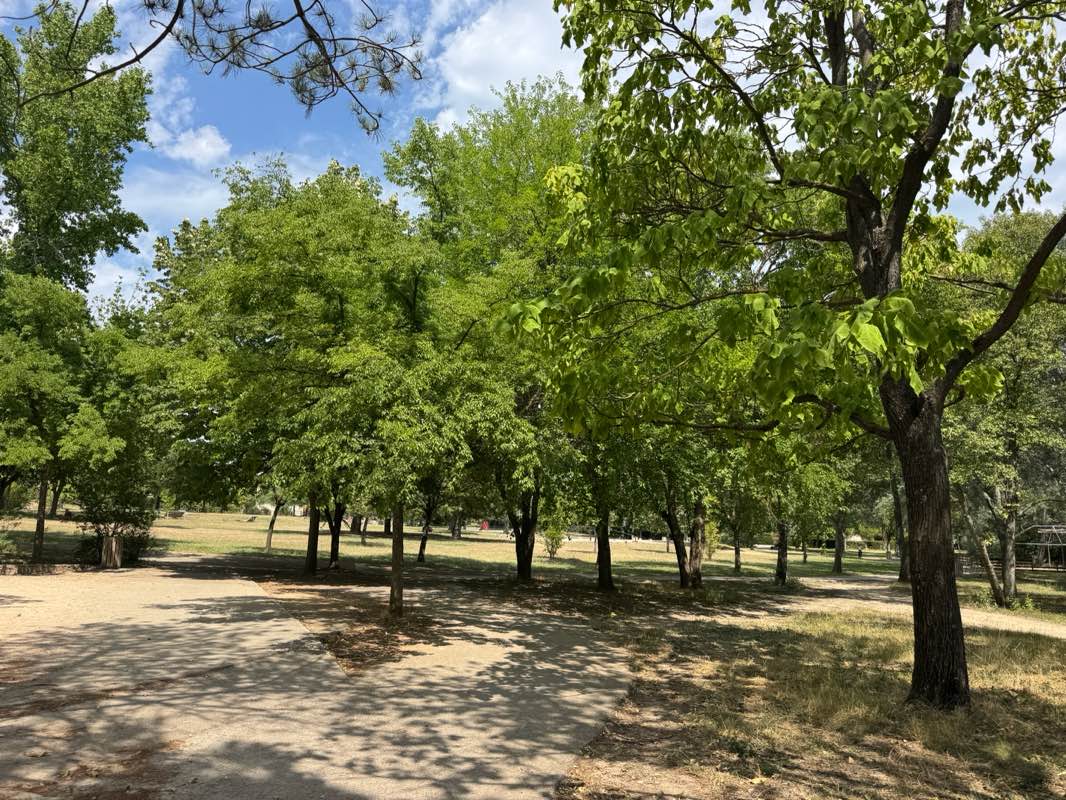 walking near me in Parc Saint-Mitre in autumn