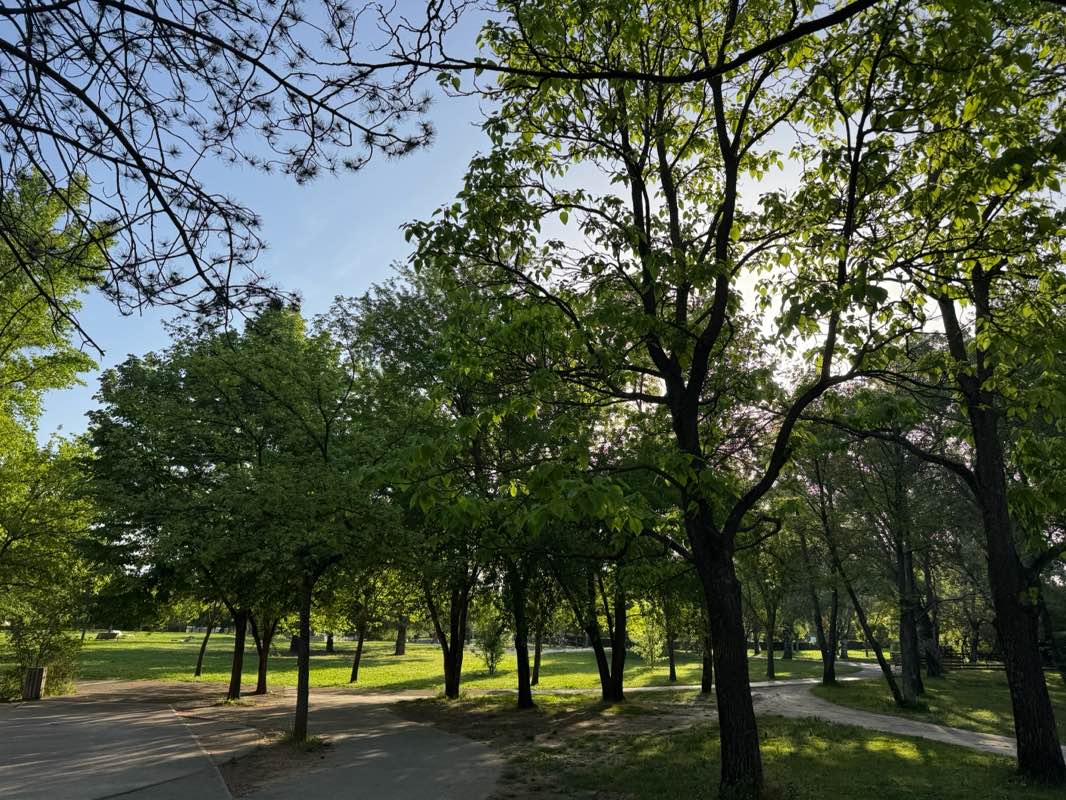walking near me in Parc Saint-Mitre in spring