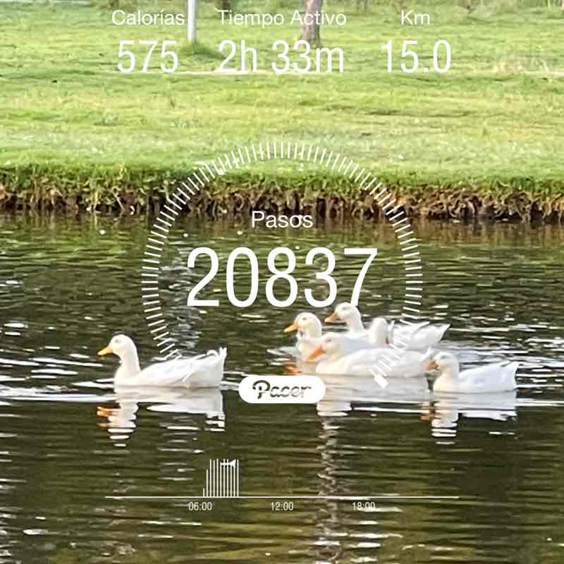 Blanca Martinez post 1